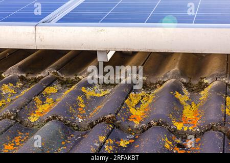 Dachziegel, die unter Solarpaneelen einer PV-Anlage auf einem Hausdach mit Moos und Flechten verunreinigt sind Stockfoto