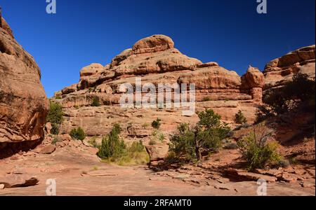 Dramatische rote Felsformationen entlang des collins Spring Trail an einem sonnigen Frühlingstag im Grand Gulch Area von Cedar mesa bei blanding, utah Stockfoto