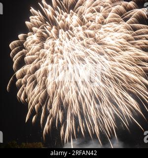 Ein Feuerwerk vor einem dunklen Nachthimmel Stockfoto