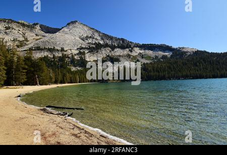 Im späten Frühjahr liegt der ruhige, alpine tenaya See und die Berggipfel auf der östlichen Seite des yosemite Nationalparks in kalifornien Stockfoto