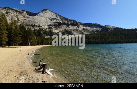 Im späten Frühjahr liegt der ruhige, alpine tenaya See und die Berggipfel auf der östlichen Seite des yosemite Nationalparks in kalifornien Stockfoto