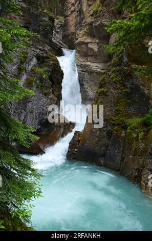 Wunderschöne Lower johnston Canyon Falls im johnston Canyon im banff National Park, alberta, kanada Stockfoto