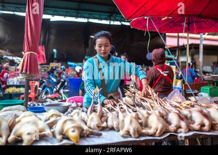 Pakse, Laos, 24. November 2017: Menschen auf dem lokalen Markt in Pakse, Laos am 24. November 2017. Stockfoto