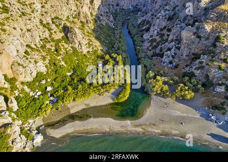 Griechenland, Kreta, Preveli Palm Beach, Rethymno Regional Unit, Plakias - Palmen, Kissano Faraggi River Stockfoto