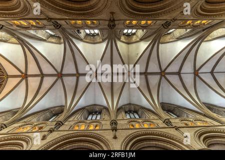 Decke der Kathedrale von Gloucester, England, Großbritannien, Europa | Gloucester Cathedral ceiling, Gloucester, England, Vereinigtes Königreich von Great B. Stockfoto