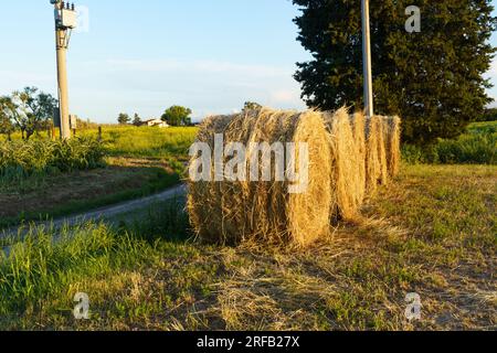 Entlang einer unbefestigten Landstraße liegt eine Reihe Stroh, die in Rollen gepresst wird, in den Sonnenstrahlen des Sonnenuntergangs. Stockfoto