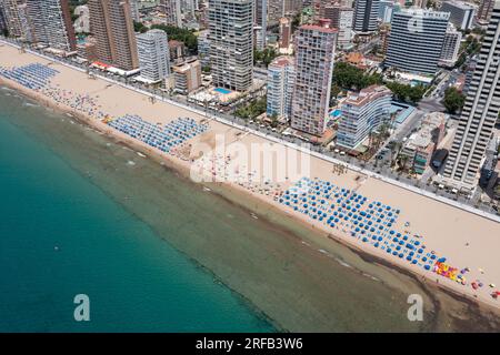 Luftdrohnenfoto der wunderschönen Stadt Benidorm in Spanien im Sommer mit dem Strand Playa de Levante und den Hochhäusern und Stockfoto