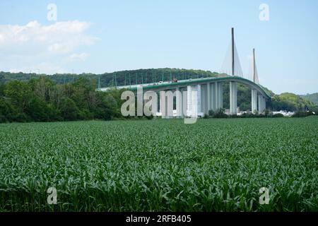 Die Pont de Broton über der seine. Eine 1977 erbaute Kabelbrücke. Stockfoto