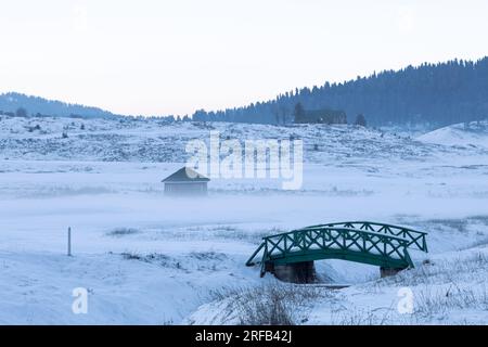 Naturpalette: Gulmarg Stockfoto