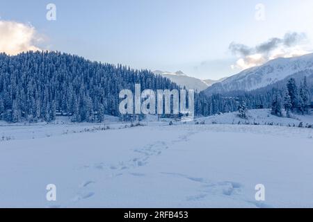 Gulmarg: Die Wohnstätte der Natur in Kaschmir Stockfoto