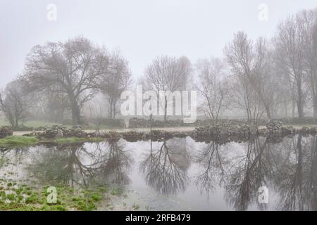 Nebiger Wintermorgen. Vila Cha de Braciosa, Tras-os-Montes. Portugal Stockfoto