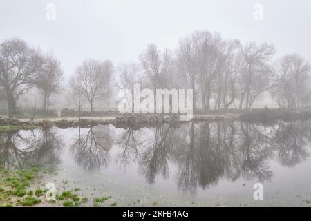 Nebiger Wintermorgen. Vila Cha de Braciosa, Tras-os-Montes. Portugal Stockfoto