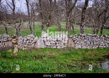 Traditionelle Steinmauer in Vila Cha da Braciosa. Miranda do Douro, Tras-os-Montes. Portugal Stockfoto