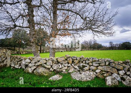 Traditionelle Steinmauer in Vila Cha da Braciosa. Miranda do Douro, Tras-os-Montes. Portugal Stockfoto