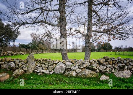 Traditionelle Steinmauer in Vila Cha da Braciosa. Miranda do Douro, Tras-os-Montes. Portugal Stockfoto