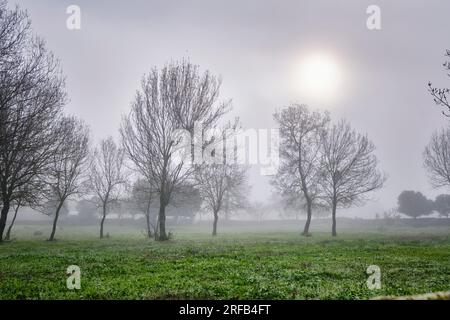 Nebiger Wintermorgen. Vila Cha de Braciosa, Tras-os-Montes. Portugal Stockfoto