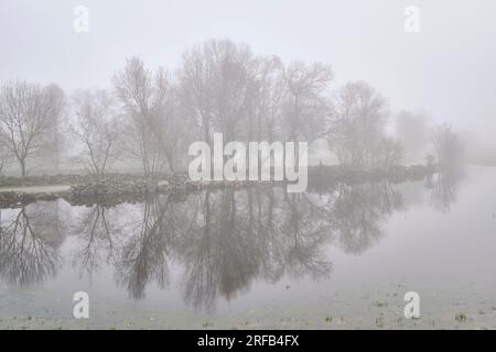 Nebiger Wintermorgen. Vila Cha de Braciosa, Tras-os-Montes. Portugal Stockfoto