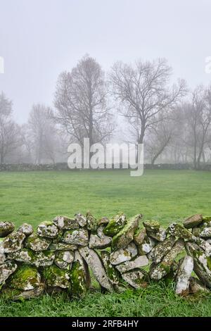 Traditionelle Steinmauer in Vila Cha da Braciosa. Miranda do Douro, Tras-os-Montes. Portugal Stockfoto