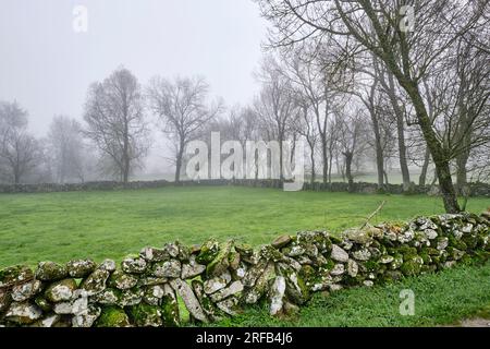 Traditionelle Steinmauer in Vila Cha da Braciosa. Miranda do Douro, Tras-os-Montes. Portugal Stockfoto