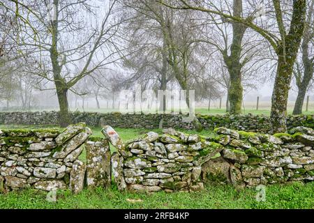 Traditionelle Steinmauer in Vila Cha da Braciosa an einem nebligen Morgen. Miranda do Douro, Tras-os-Montes. Portugal Stockfoto