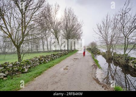 Traditionelle Steinmauer in Vila Cha da Braciosa an einem nebligen Morgen. Miranda do Douro, Tras-os-Montes. Portugal Stockfoto