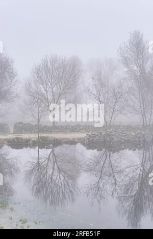 Eine alte Art an einem nebligen Wintermorgen. Vila Cha da Braciosa, Miranda do Douro. Tras-os-Montes Stockfoto