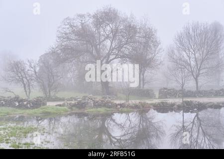 Eine alte Art an einem nebligen Wintermorgen. Vila Cha da Braciosa, Miranda do Douro. Tras-os-Montes Stockfoto