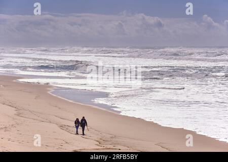 Praia Velha Beach, Sao Pedro de Moel. Marinha Grande, Leiria. Portugal Stockfoto