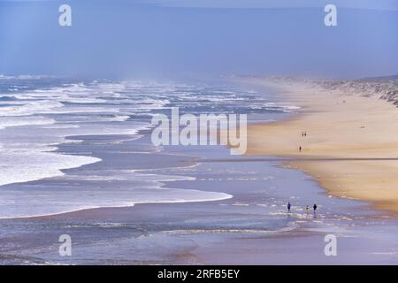 Praia Velha Beach, Sao Pedro de Moel. Marinha Grande, Leiria. Portugal Stockfoto