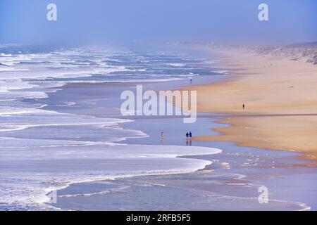 Praia Velha Beach, Sao Pedro de Moel. Marinha Grande, Leiria. Portugal Stockfoto