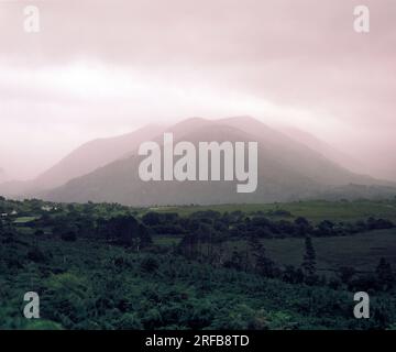 Irland. County Kerry. Lackabane Mountain im Nebel. Stockfoto