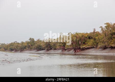 Sundarbans ist ein Feuchtgebiet-Delta mit einer Fläche von etwa 10.200 Quadratkilometern in Indien und Bangladesch. Dieses Foto wurde aus Bangladesch gemacht. Stockfoto