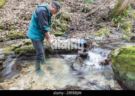 Outdoor-Abenteuer auf dem Fluss. Goldwaschen, nach Gold suchen. Der Mann sucht Gold mit einer Schaufel in der Hand in einem kleinen Bach Stockfoto