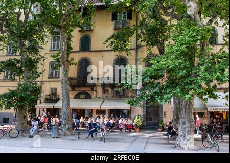 Piazza Napoleone in der Stadt Lucca in der Toskana in Italien. Es ist ein großer Platz, umgeben von Geschäften und verschiedenen Restaurants Stockfoto