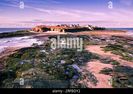 Blick über Felsenpools nach Hilbre Island von Little Hilbre Island in Dee Estuary bei Ebbe. West Kirby, Wirral Peninsula, Merseyside, England, Großbritannien Stockfoto