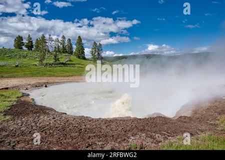 Churning Caldron, Schlammvulkan, Yellowstone-Nationalpark, Wyoming, Vereinigte Staaten von Amerika Stockfoto