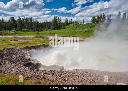 Churning Caldron, Schlammvulkan, Yellowstone-Nationalpark, Wyoming, Vereinigte Staaten von Amerika Stockfoto