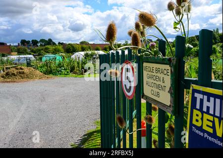 Urbanes Kleingartengelände am Rande einer englischen Stadt im Sommer. Stockfoto