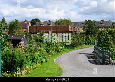 Urbanes Kleingartengelände am Rande einer englischen Stadt im Sommer. Stockfoto