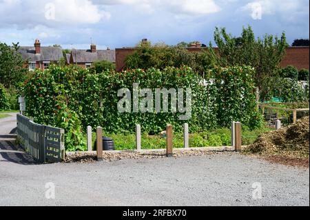 Urbanes Kleingartengelände am Rande einer englischen Stadt im Sommer. Stockfoto