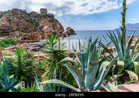 Küstenlandschaft bei Porto, Festungsturm, Algarven, Felsen, Mittelmeer, Korsika, Frankreich, Europa Stockfoto