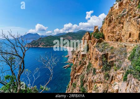 Küstenlandschaft bei Porto, Calanche de Piana, Küstenstraße, Felsen, Mittelmeer, Korsika, Frankreich, Europa Stockfoto