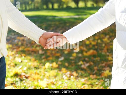 Ein Mann hält die Hand einer Frau, während er in einem Herbstpark spaziert. Hände aus nächster Nähe geschossen. Horizontales Foto Stockfoto