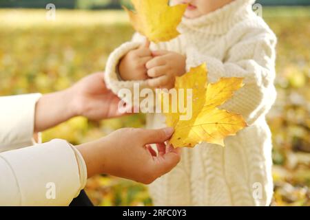 Mutter und ihr kleiner Sohn gehen im Herbstpark spazieren. Mutter schenkt ihrem Sohn ein gelbes Herbstblatt. Horizontales Foto Stockfoto