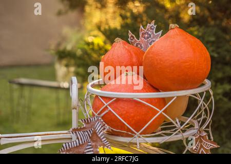 Herbststille. Zusammensetzung mit Kürbissen, getrockneten bemalten Blättern im sonnigen Garten. Herbsternte, Thanksgiving, halloween-Konzept. Stockfoto