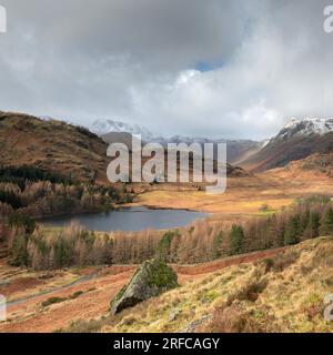 Blick von oben auf Blea Tarn Little Langdale im Winter Stockfoto