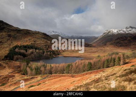 Blick von oben auf Blea Tarn Little Langdale im Winter Stockfoto