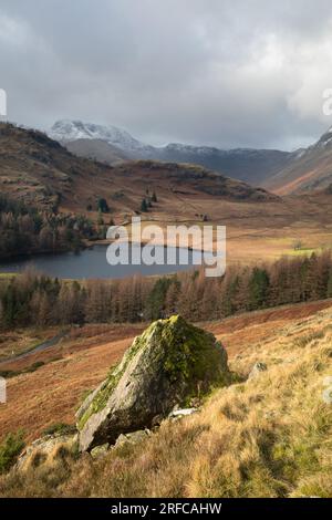 Blick von oben auf Blea Tarn Little Langdale im Winter Stockfoto