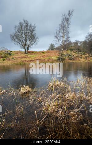 High Arnside Tarn, Lake District, Großbritannien Stockfoto