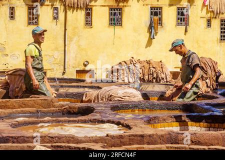 Fes, Marokko - 31. März 2023: Szene der Ledergerberei mit Arbeitern und Steinfässern in verschiedenen Farben. Fes, Marokko Stockfoto